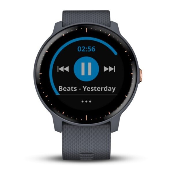 garmin vivoactive 3 varia lights
