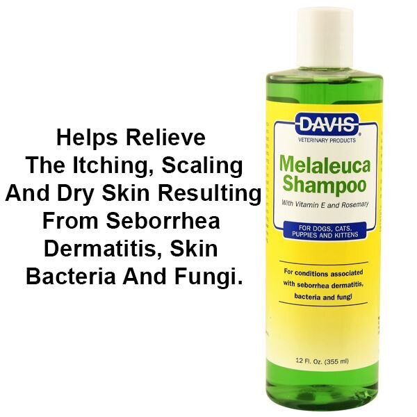 Davis best sale melaleuca shampoo