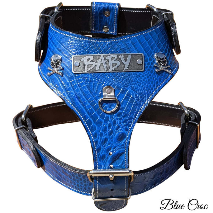 NH16 - Personalized Leather Dog Harness with Skulls