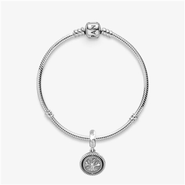 Pandora Circle of Love Bracelet Discounts for Veterans, VA