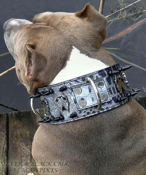 Pit Bull Gear X21 3 Bully Spiked Leather Dog Collar Military   7766540 X21  3 Bully Spiked Leather Dog Collar T600 