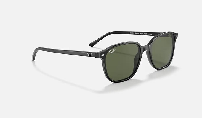 Ray-Ban - RB2193 Leonard Sunglasses - Military & Gov't Discounts