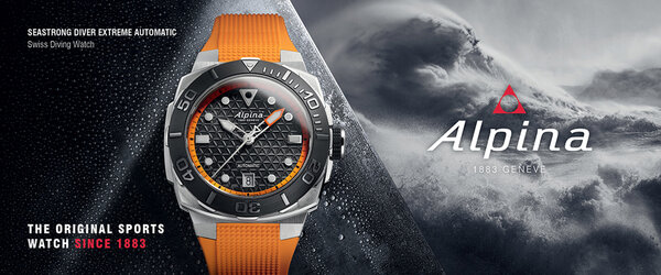 Alpina Comp Sk サイズEU40　新品未使用 Alpina Comp Sk サイズEU40 新品未使用 Alpina Comp Sk サイズEU40