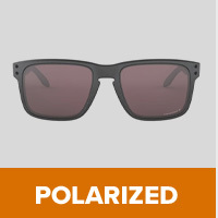 POLARIZED
